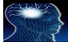 Concussion Policy